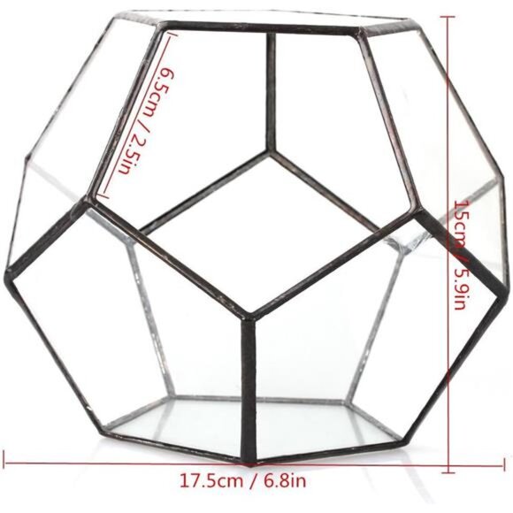 NCYP Small Plants Terrarium Planter - 5.9 Inches Pentagon Geometric Glass - Picture 4 of 7